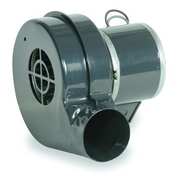 Dayton Round OEM Blower, 3105 RPM, 1 Phase, Direct, Rolled Steel 1TDN6