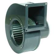 Dayton Rectangular OEM Blower, 1640 RPM, 1 Phase, Direct, Rolled Steel 1TDT2