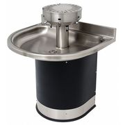 Acorn Controls Black and Silver, Semicircular, Wash Fountain 3544-2-S0-DV-VPB-MXTP