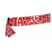 Chill-Its By Ergodyne Cooling Bandana, Red, One Size 6705CT