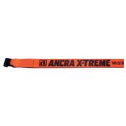 Ancra Winch Strap, 30 ft x 4 In., 5400 lb. 43795-90-30-GRA