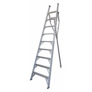 Tivoli 10 ft. 250 lb. Orchard Ladder PROT10
