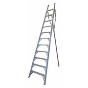 Tivoli 12 ft. 250 lb. Orchard Ladder PROT12