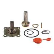 Asco Valve Rebuild Kit, With Instructions 302276