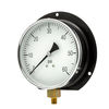 Pic Gauges Gauge, 6" 0/60psi, 1/4"LM, Back Flange 115D-604D