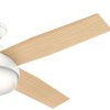 Hunter Decorative Ceiling Fan, 52" Blade Dia., 1 Phase, 120 59217
