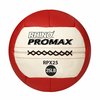 Champion Sports Rhino Promax Slam Workout Ball, 14", 25lb RPX25
