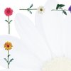 Great Papers Stationery Letterhead, Daisies, 8, PK80 2013178