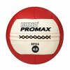 Champion Sports Rhino Promax Slam Workout Ball, 14", 4lb RPX4