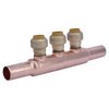 Sharkbite Push Fit Manifold, LF Copper, 8 In. L 22995LF