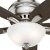 Hunter Decorative Ceiling Fan, Low Pro, 42" Blade Dia., 1 Phase, 120 51082