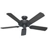 Hunter Indoor/Outdoor Ceiling Fan, 52" Blade Dia., 1 Phase, 120 53061