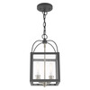 Livex Lighting Milford 2 Light Scandinavian Gray Convertible Pendant/Ceiling Mount 4041-76