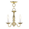 Livex Lighting Williamsburgh 3 Light Polished Brass Convertible 5009-02