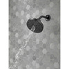 Delta Faucet, Shower Head Showering Component Faucet, Matte Black 52668-BL