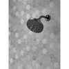 Delta Faucet, Shower Head Showering Component Faucet, Matte Black 52668-BL