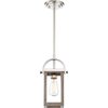 Nuvo Lighting Bliss 1-Light 60W Incandescent Mini-Pendant Fixture, Driftwood / Polished Nickel Accents Finish 60/6484