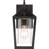 Nuvo Hopewell - 1-Light - Small Lantern - Matte Black Finish with Clear Seeded Glass 60/6591