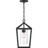 Nuvo Hopewell - 1-Light - Hanging Lantern - Matte Black Finish with Clear Seeded Glass 60/6594