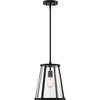 Nuvo Bruge 1-Light Pendant Fixture - Matte Black Finish with Clear Glass 60/6699