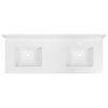 Cahaba Vanity Top w/Ceramic Basins, 61 x 22 in CAVT61DBMF