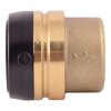 Sharkbite Push-to-Connect End Stop, 1-1/2 in Tube Size, Brass, Brass UXL0441