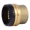 Sharkbite Push-to-Connect End Stop, 2 in Tube Size, Brass, Brass UXL0454