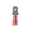 Panduit Male Disconnect, Red, 22-18AWG, PK100 DNF18-250M-C