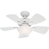 Hunter Decorative Ceiling Fan, 34" Blade Dia., 1 Phase, 120 52089