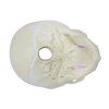 Eisco Scientific Model Artificial Infant Skull AM0127