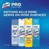 Lysol Cleaners and Detergents, 12 PK 36241-74828