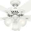 Hunter Decorative Ceiling Fan, 42" Blade Dia., 120V AC 52105