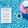 Remington Solar Sun Shock, Chlorine Free Pool Ionizer RSI-1000