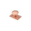 Richelieu Hardware 1 1/2 in (38 mm) Exeter Copper Traditional Cabinet Knob 658338194