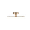 Richelieu Hardware 1 9/16 in (40 mm) Champagne Bronze Contemporary Cabinet Knob and Backplate BP229540CHBRZ