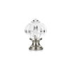 Richelieu Hardware 1 1/8 in (28 mm) Clear, Brushed Nickel Eclectic Brass, Acrylic Cabinet Knob BP403519511