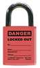 Idesco Padlock Label, 2-1/8inHx 1-1/2inW, PK25, LMBBT121AAC LMBBT121AAC