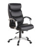 Lorell Leather Executive Chair, Padded Arms, Black, Silver LLR60620