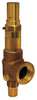 Apollo Valves Adjustable Relief Valve, 1/2 In, 250 psi, Overall Height: 4-1/8" 1650102