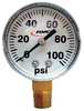 Fimco Pressure Gauge, 0 to 100 psi, 2In, 1/4In 5167007