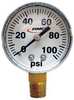 Fimco Pressure Gauge, 0 to 100 psi, 2In, 1/4In 5167007