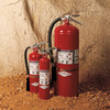Amerex Fire Extinguisher Bracket, Strap Bracket, Steel, For Tank Weight 5 lb 860