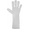 Ansell 16" Chemical Resistant Gloves, Laminated Film, 10, 1 PR 02-100