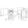 Dayton AC Gearmotor, 15.0 in-lb Max. Torque, 330 RPM Nameplate RPM, 115/230V AC Voltage, 1 Phase 3XA87