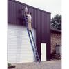 Werner 20 ft Fiberglass Extension Ladder, 250 lb Load Capacity D6020-2
