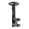 Tripp Lite Fixed Ceiling TV Mount, 10" to 37" Screen DCTM
