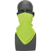 Zoro Select Neck Gaiter, Green, Pullover Style RAD-NGGBE