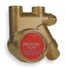 Procon Pump, Rotary Vane, Brass, Max. Flow (GPH): 112 111A100F11AA 250