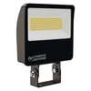 Lithonia Lighting Floodlight, Housing Color Bronze, 56 W ESXF2 ALO SWW2 KY DDB M2