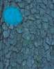 Aervoe Tree Marking Paint, 12 oz., Blue, Solvent -Based 695